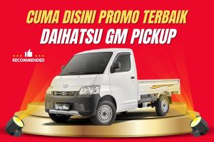 Granmax Pick Up